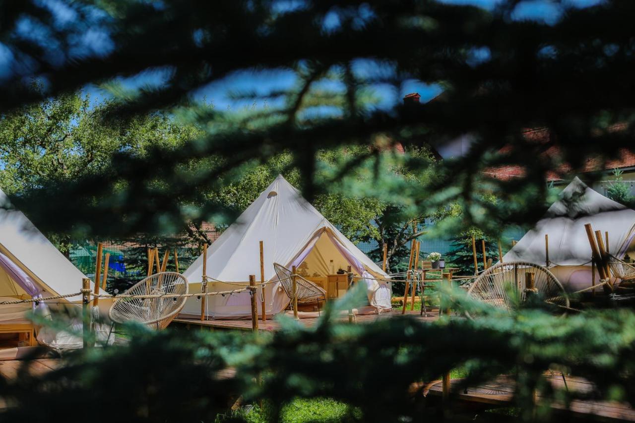 Valea Doftanei Glamping Cort de lux Teşila