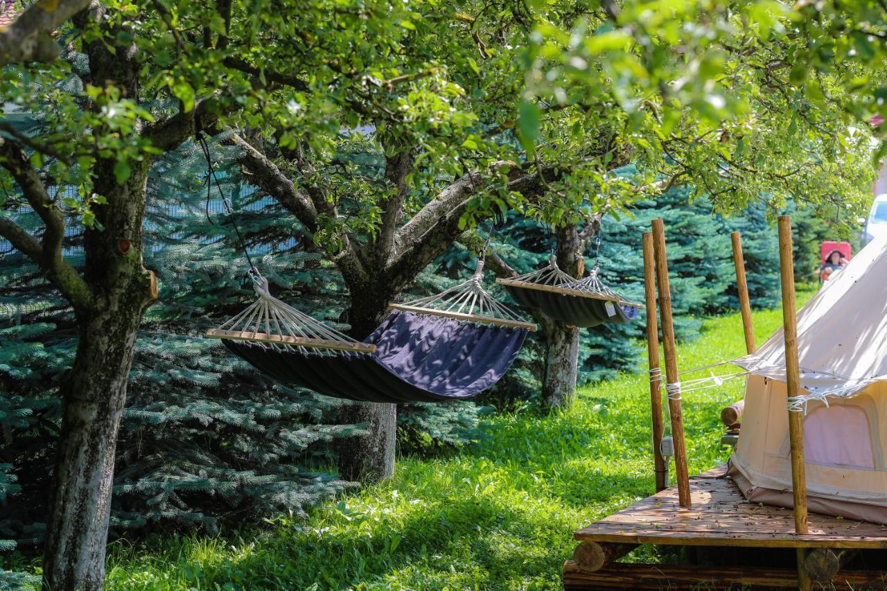 Valea Doftanei Glamping *