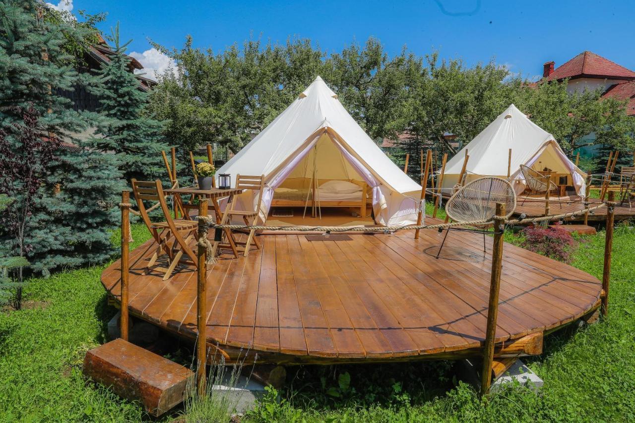 Cort de lux Valea Doftanei Glamping Teşila