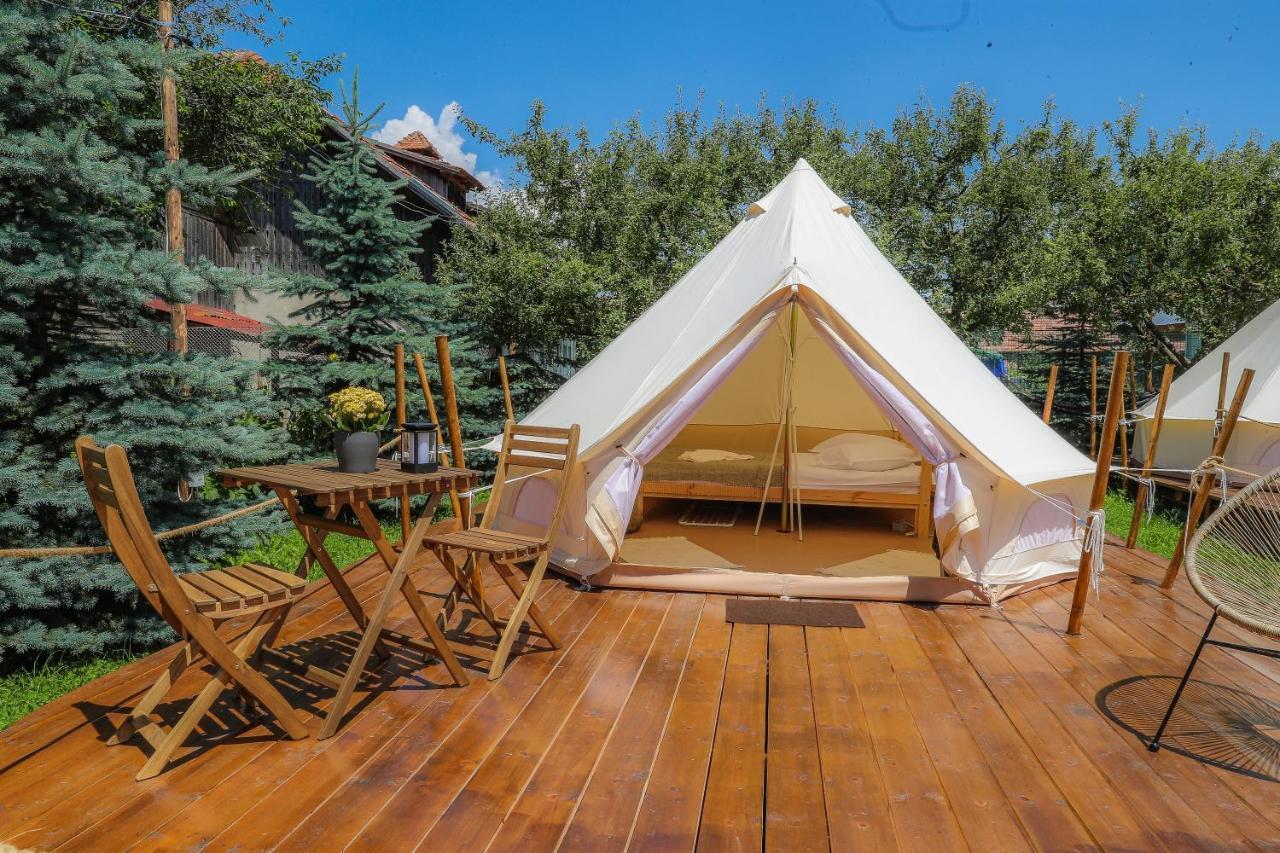 Valea Doftanei Glamping Cort de lux *