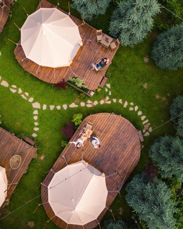 Valea Doftanei Glamping Cort de lux *