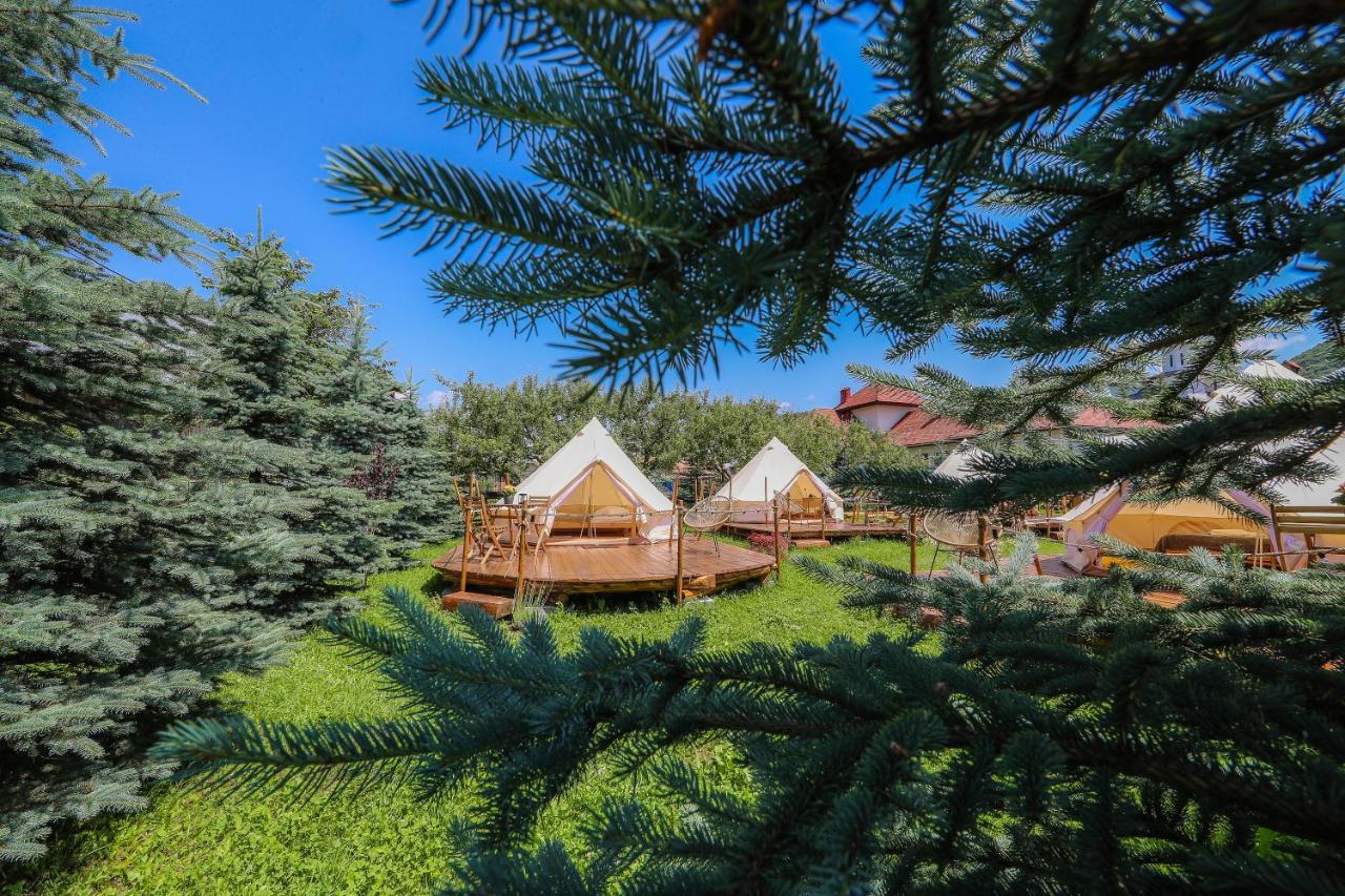 Valea Doftanei Glamping Cort de lux *
