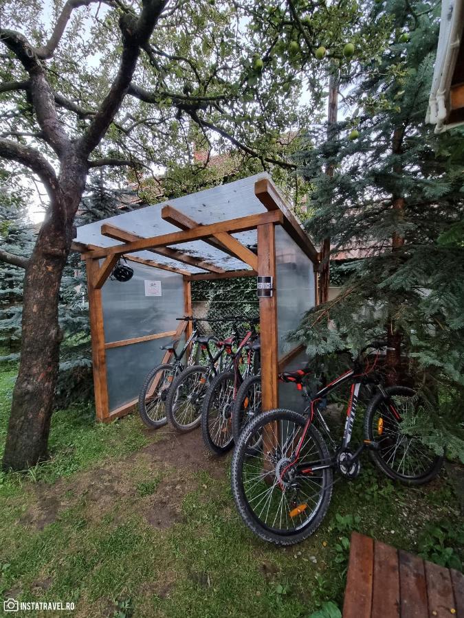 Valea Doftanei Glamping Tesila
