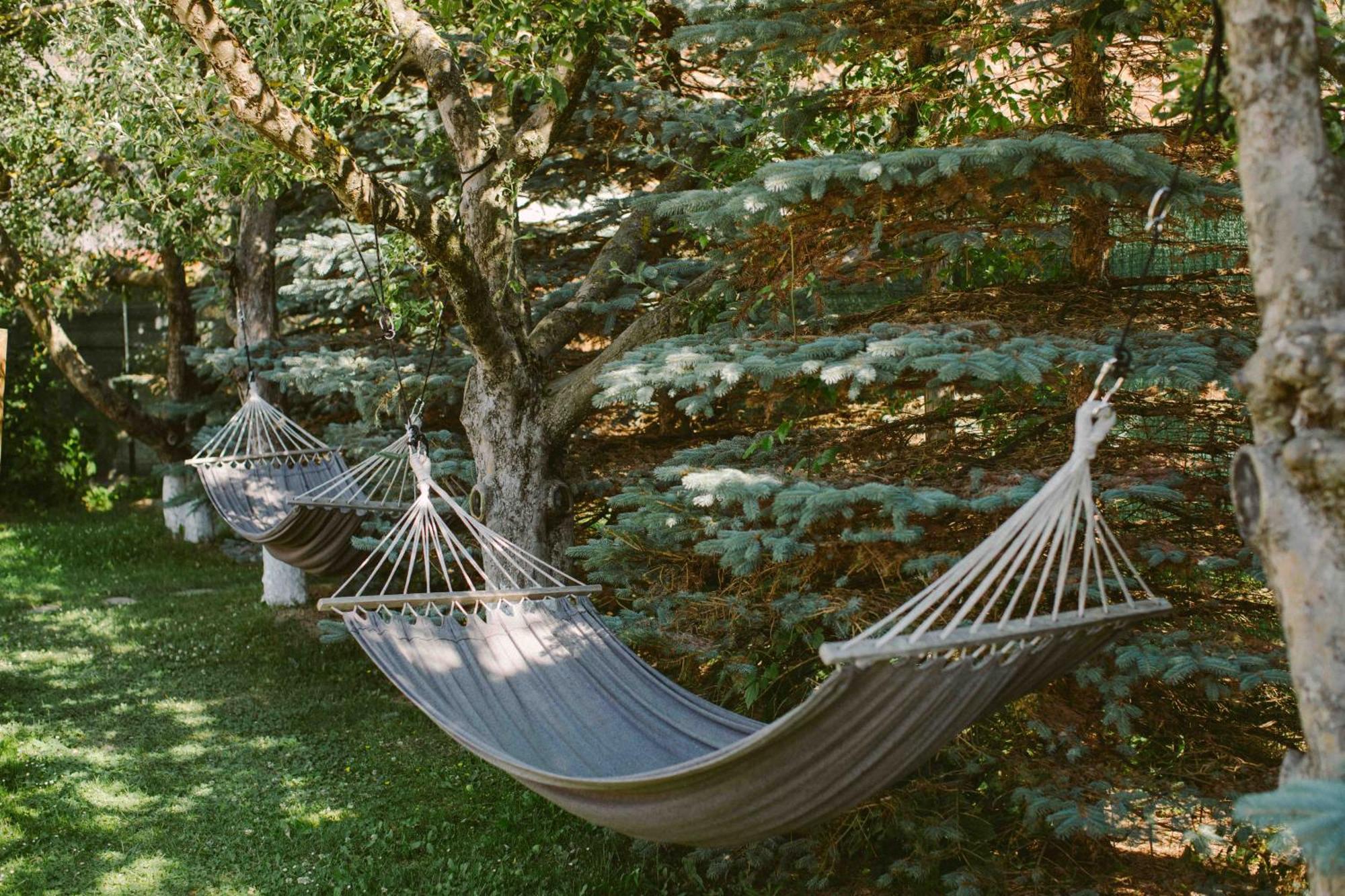 Valea Doftanei Glamping *