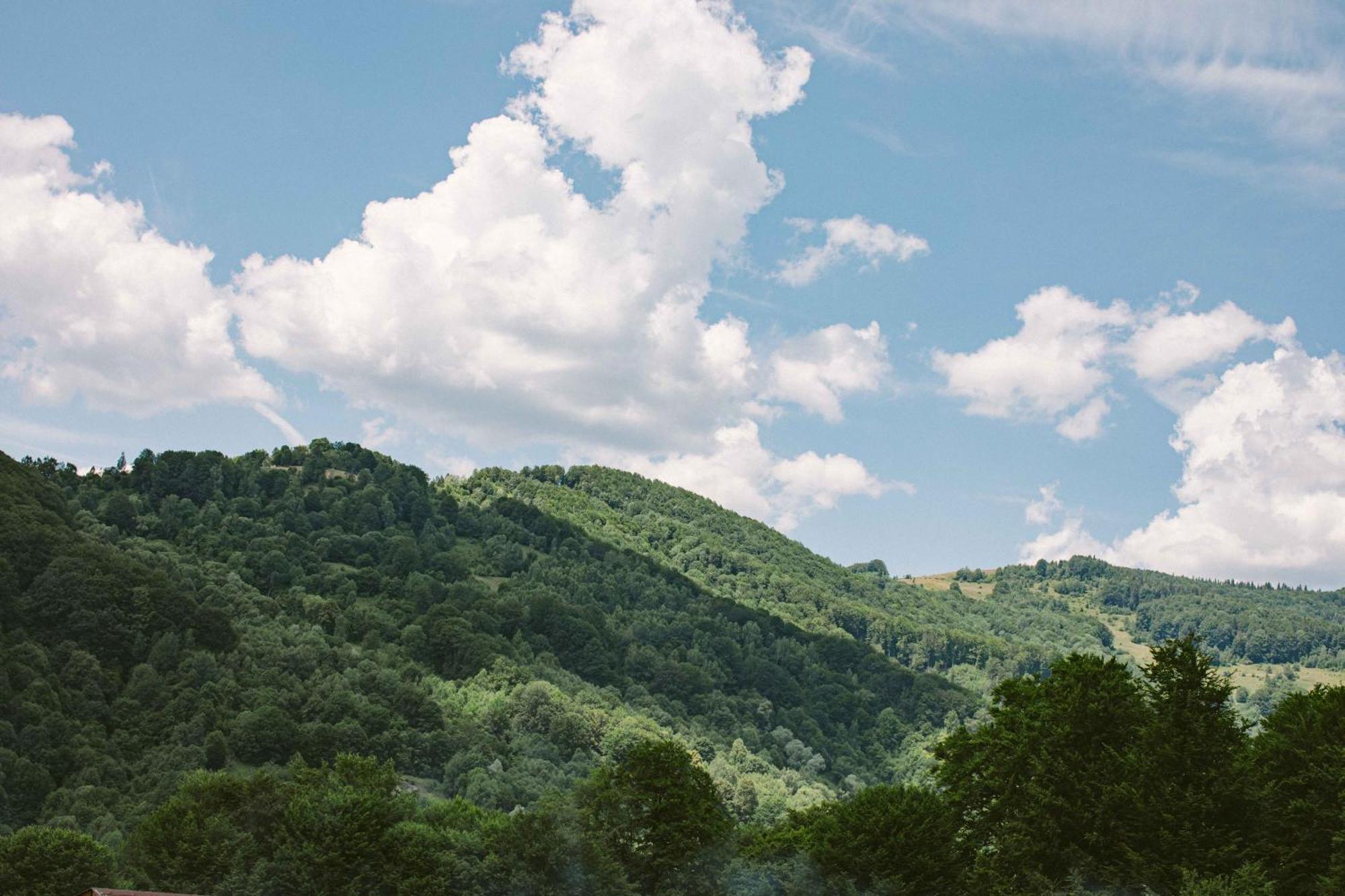 Cort de lux Valea Doftanei Glamping